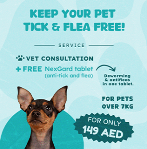 FLYER 2